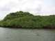 2003年04月27日 西表島 『仲間川はすごいなー』