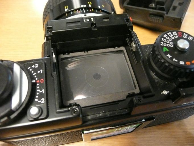 ニコンF3用P型スクリーン : 不定期性写真日記 (2008/06/29 自宅)